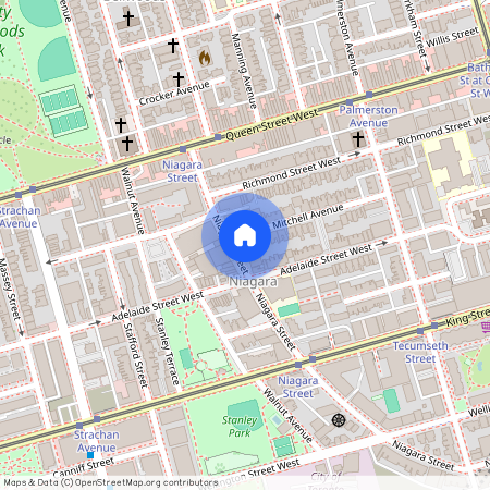 #Main - 246 Niagara Street, Toronto C01