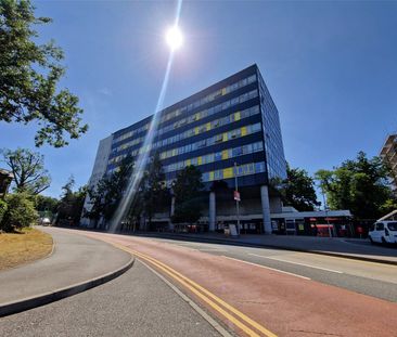 Queens Pine, Bracknell, Berkshire, RG12 - Photo 5