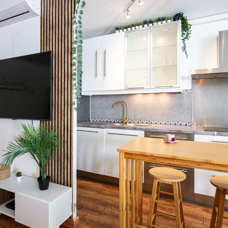 Spacieux T4 avec Terrasse, Vue Dégagée et Garage Beausolei - Photo 1