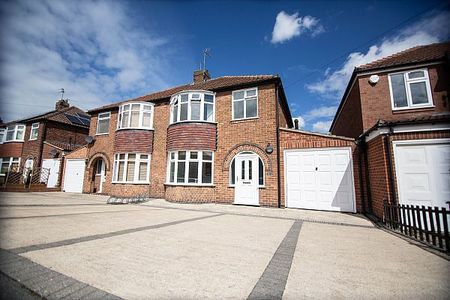 91, Newland Park Drive - Photo 4