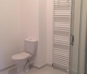 Location Appartement 1 pièce 24m² CAMBRAI 59400 - Photo 3
