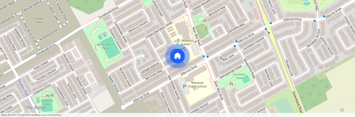 91 Buffalograss Crescent, Barrhaven