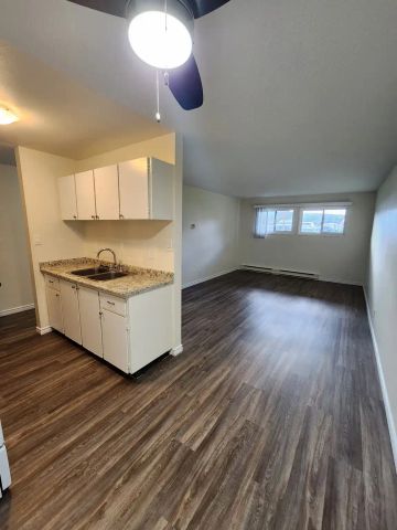 Tiffany Place Apartments — 1 Bedroom - Photo 5