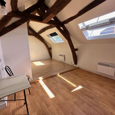 Location Appartement 1 pièce 17m² ST JEAN LE BLANC 45650 - Photo 4