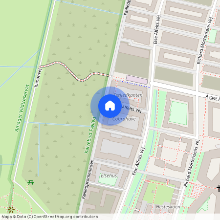 Else Alfelts Vej 60F 5 th., 2300, København S