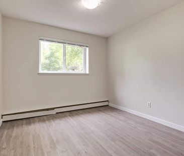 Renovated Suite - 1 Bedroom - Photo 4