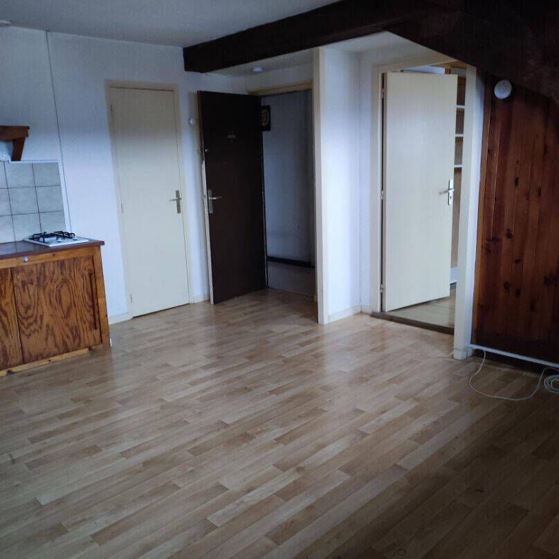 Location appartement 2 pièces 35 m² à Oyonnax (01100) - Photo 1