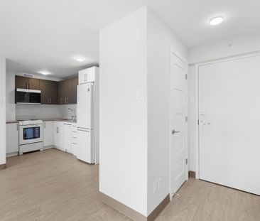 Condo for rent, Montréal (Le Plateau-Mont-Royal) - Photo 1