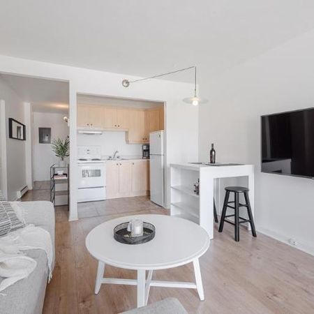 Loft entièrement meublé à louer Sainte-Foy / Sillery novembre 2025 - Photo 3