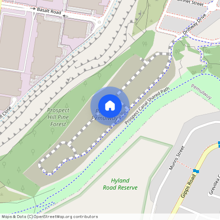 7 Murragauan Street, NSW 2145, Pemulwuy