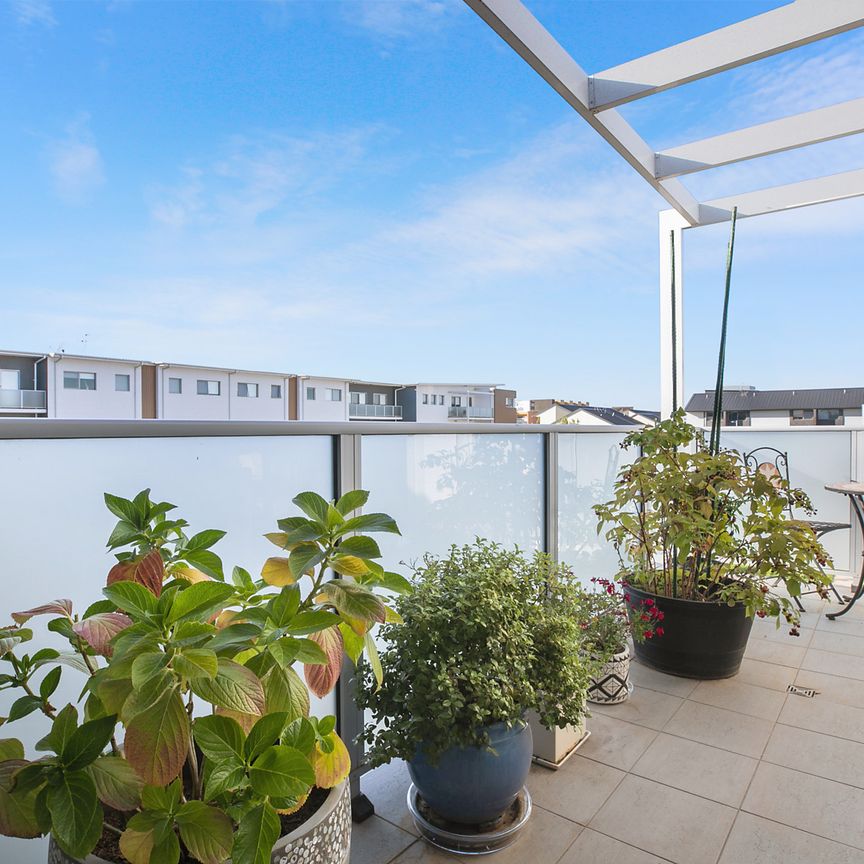 30/41 Clare Burton Crescent, Franklin ACT 2913 - Apartment For Rent | Domain - Photo 1
