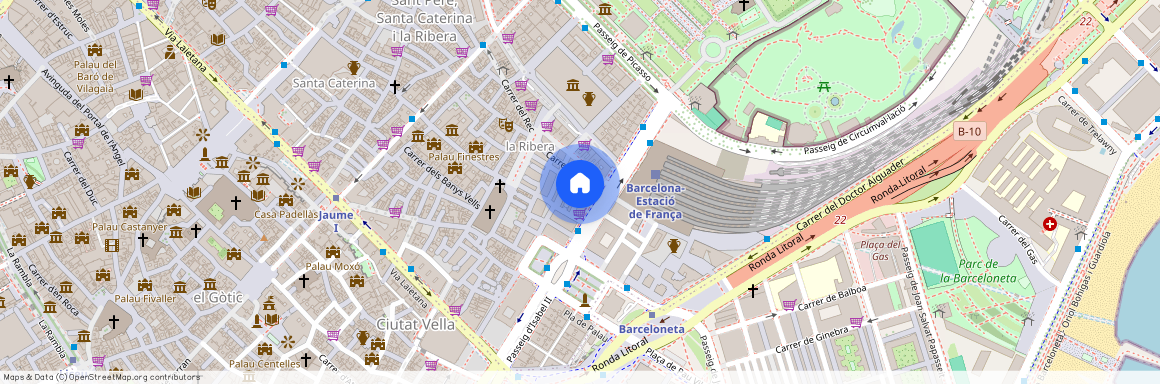 Carrer de la Pescateria, Barcelona, Catalonia 08003