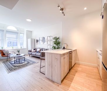 1421 Rue Pierce, Montréal (Ville-Marie), QC H3H - Photo 3