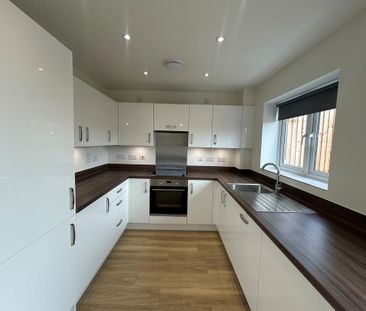 3 bedroom house to rent - Photo 4
