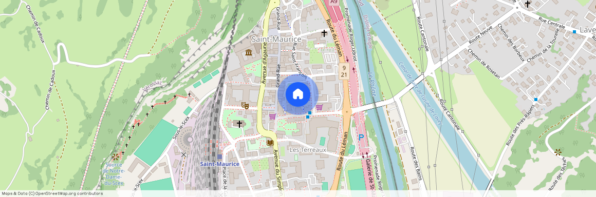 1890, St-Maurice, Avenue Des Terreaux, 21