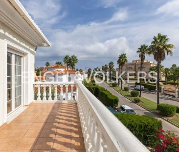 Oliva - Photo 2