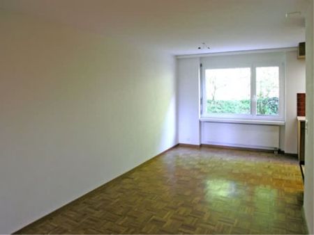 2.5 Zimmer, 52 m², EG - Photo 5