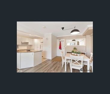 Contemporary sun filled apartment, two blocks from the beach - Photo 5