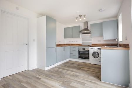 3 bedroom semi-detached house to rent - Photo 3