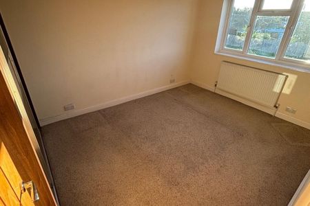 Ashlee Walk - Photo 4