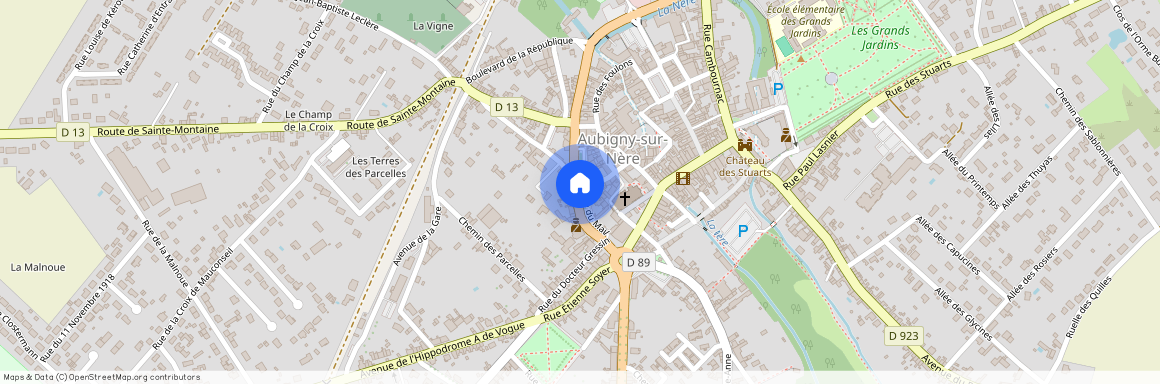 AUBIGNY SUR NERE (18700)