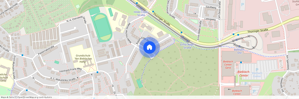 Maler-Fischer-Straße 21, 07552 Gera