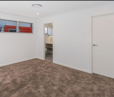 2/25 Mullens Street, Hawthorne QLD 4171 - Townhouse For Rent | Domain - Photo 3