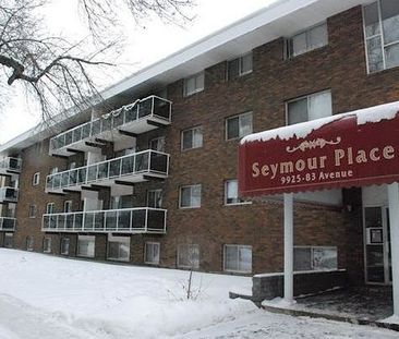 Seymour Place - Photo 2