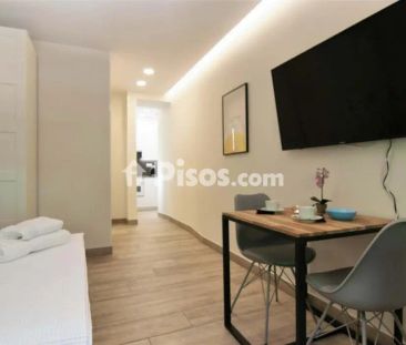 Estudio en alquiler en Paseo de la Castellana, cerca de Calle de Si... - Photo 1