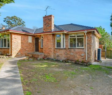 Fully Renovated Home in a Convenient Location - Photo 3