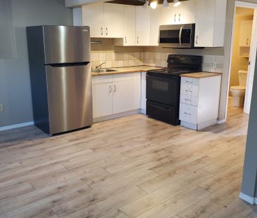 Lower Level 2 Bedroom Suite in Eastview! - Photo 1