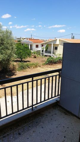 Κτίριο για ενοικίαση Παραλία Μαρκόπουλου Ωρωπού (Μαρκόπουλο Ωρωπού) - Photo 4