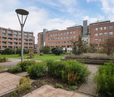 Sphinxlunet, 67, Maastricht - Foto 2