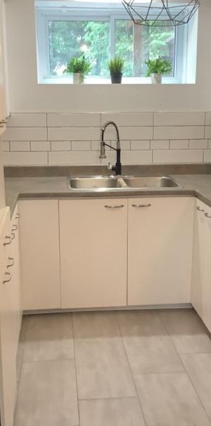 Beau logement air ouverte entière rénové! - Photo 1