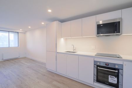 3460 Rue Durocher - Photo 4