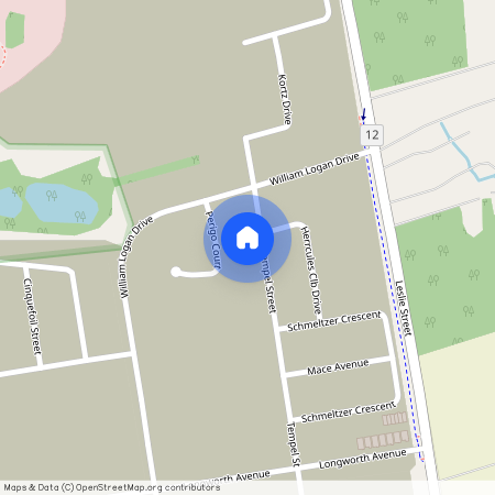84 Tempel St, Richmond Hill