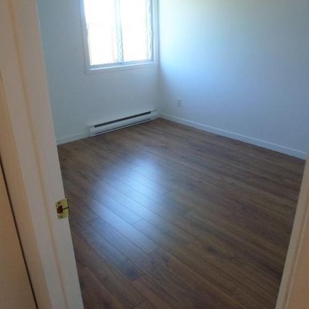 4 1/2 Chauffé/Éclairé, Décembre, Lévis secteur Desjardins, UQAR, CFP - Photo 4