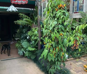 Upper Caboolture - Photo 1