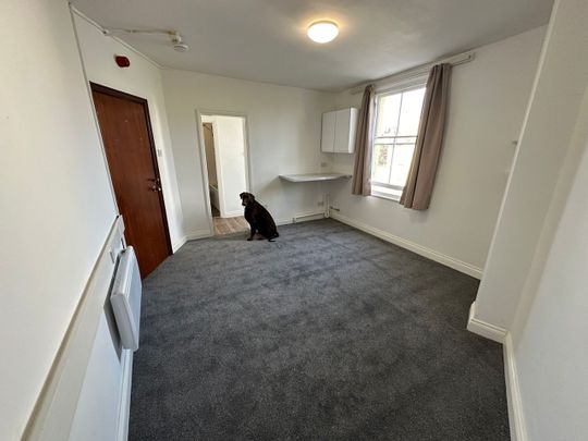 Studio Flat, Thornleigh Road, BS7 - Photo 1