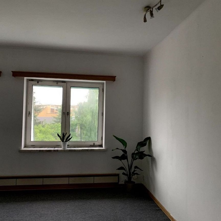 2 pokoje do wynajmu przy ul. Znicza 19A (60 m2) 60 m² - Photo 1