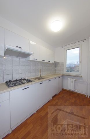 Wynajem, Gumieńce kawalerka z balkonem - Zdjęcie 3