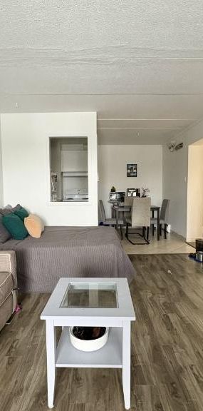 Loft à louer Sainte-Foy / Sillery juillet 2026 - Photo 1