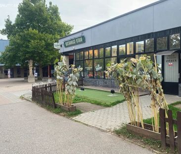 Pronájem bytu 1+kk 29 m² - Photo 3
