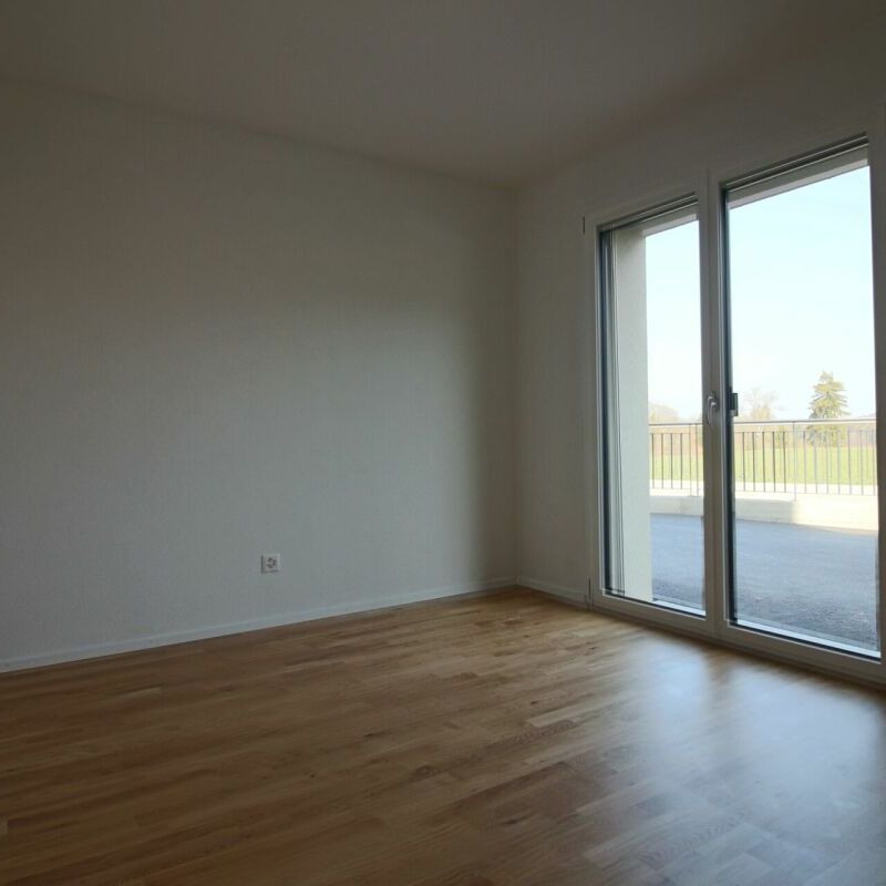 2.5 Zimmer, 65 m², EG - Photo 1