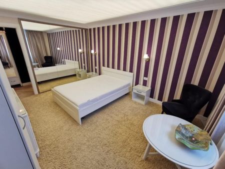 Garsoniera Ion Mihalache- Titulescu- Banu Manta - Fotografie 3