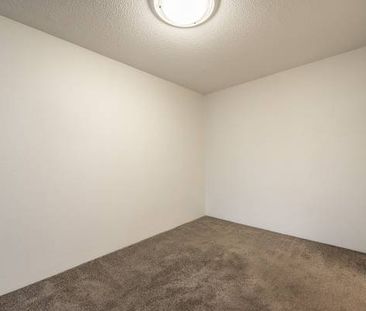 Seaport Apartments - 1 Bedroom - Available January 1st - Photo 1