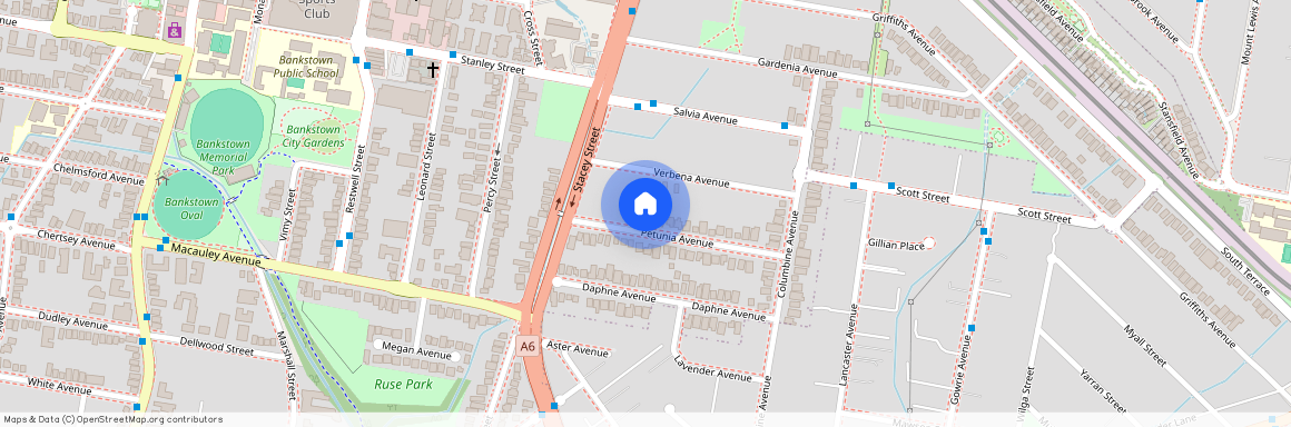 27 Petunia Avenue, NSW 2200, Bankstown