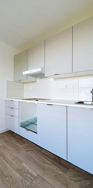 Ambérieu-en-Bugey : Sans vis-à-vis T3 entièrement rénové - Photo 1