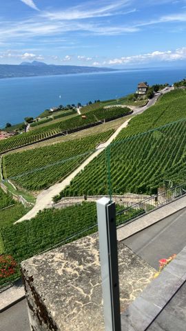 Bel appartement meublé de 3.5 pièces avec vue imprenable sur lac et montagnes - Chexbres - Photo 5