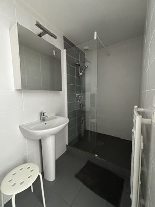 Location Appartement 1 pièce 25m² LIMOGES 87000 - Photo 1